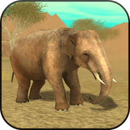 大象模拟器 V2.0 安卓版