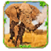 大象模拟器 V1.1.0 安卓版